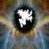rebirth.jpg